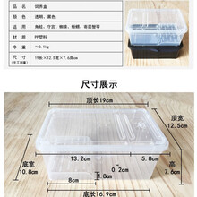 爬虫爬宠蜘蛛守宫蜥蜴蝎子蜈蚣角蛙龟蜗牛饲养盒宠物蛇塑料饲养箱 小号透明水陆饲养盒