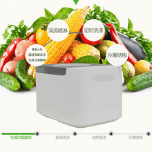 食材净化机果蔬解毒机