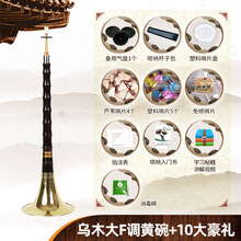 唢呐乐器全套 初学者民族乐器喇叭d调小号唢呐演奏服务 乌木大F调黄碗+10大