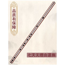 米囹 紫铜笛子金律初学演奏魔道祖师陈情笛金属笛子加厚纯铜笛子 C调+全套配件