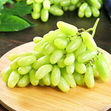 新鲜马奶葡萄 3斤/5斤 当季新鲜白奶油青提子有籽水果整箱 鲜果 3斤
