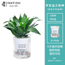 阿波罗水槽 价格 图片 品牌 怎么样 京东商城 阿波罗水槽 价格 图片 品牌 怎么样 京东商城