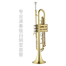 小号乐器 学生初学者演奏级儿童成人学校教会降B调 演奏级白铜变音管