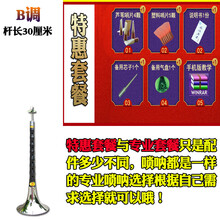 唢呐乐器全套 乌木唢呐杆d调C降B调初学者成人锁呐带哨片 乌木B调(特惠套餐)