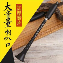 巴乌 竖吹 专业  大音量 巴乌乐器 G/F调 单管乐器 G调+包+指法表