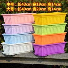 （10棵装）混色重瓣太阳花苗 阳台室内外花卉盆栽绿植物四季开花 中号长方形花盆【颜色备注】 含盆