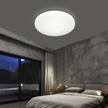 超市	佛山照明（FSL）吸顶灯LED卧室灯阳台灯厨房卫生间灯简约现代单色白光25瓦