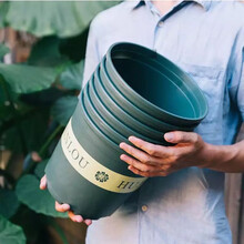 塑料花盆加厚批发特大号种花盆圆形绿萝加仑盆树脂含托盘特价 清正园艺 高款1加仑红色【十个装】送1个 含盆拖