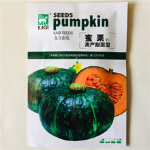 日本南瓜种子 香甜板栗南瓜籽味香高产小南瓜种子四季蔬菜种籽孑 蜜栗板栗南瓜原厂彩包/10克