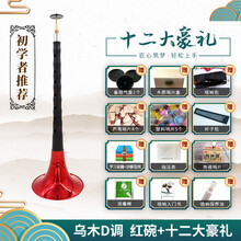 宏艺凤鸣唢呐乐器全套乌木木演奏考级d调初学者入门喇叭 初学 乌木D调唢呐红碗+12大