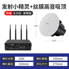 先科（SAST）无线蓝牙吸顶音响壁挂壁喇叭家用天花吊顶套装嵌入式室内店铺餐厅吊球背景音乐家用音箱分区 发射器+丝膜高低音吸顶 音响数量（5）