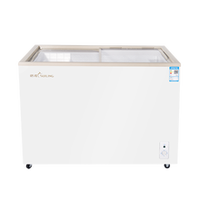 穗凌（SUILING）WD4单温冷冻冷藏可转换卧式陈列柜饮料保鲜柜玻璃门小冰柜雪糕柜 WD4-275K