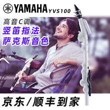 雅马哈新风管新品YVS100/120系列跨界高音中音萨克斯竖笛吹管乐器Yamaha YVS-100模拟高音萨克斯