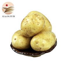 现挖现发新鲜土豆高山马铃薯农家自种新鲜蔬菜食材 黄心洋芋3斤装龙山本地鲜土豆 3斤新鲜土豆