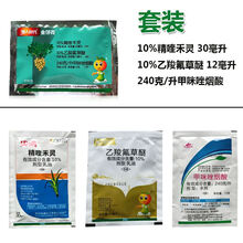 瀚鑫 花生田苗后专用除草剂 禾阔莎三除精喹禾灵 香附子马齿苋牛筋草等 54ml