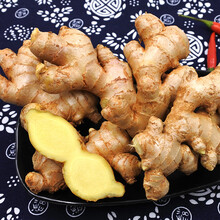 云南小黄姜罗平本地生姜新鲜特级老姜种带泥干姜嫩姜食用 5斤 生鲜年货