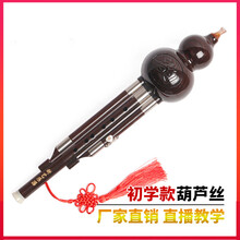 新艺葫芦丝 乐器 初学成人学生初学者自学入门胡芦丝 降B调＋包装盒＋资料