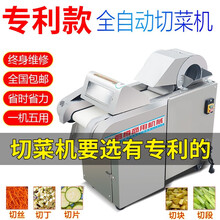 甄樽  切菜机商用电动食堂用多功能切小米椒机酸菜切丝机大头菜切丝机切茶叶机桑叶切丁机芥菜切段机豆腐 300型无机头