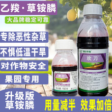 欢刀乙羧草铵膦升级版草胺磷果园非耕地牛筋草小飞蓬一扫光除草剂 1kg