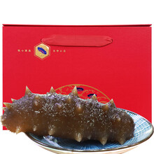 张奶奶海参 大连长海县鲜活 即食海参500g 高品质单个速食辽刺参 生鲜