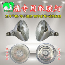 牧尔康 仔猪用保温灯养殖取暖灯防水防爆节能红外线小鸡畜牧烤灯加热灯泡 平面100瓦