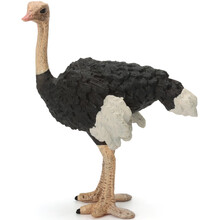 玛奇乐（MECHILE）仿真动物模型飞禽鸟类玩具套装鹦鹉老鹰白头鹰火烈鸟鹈鹕儿童生日礼物 鸵鸟