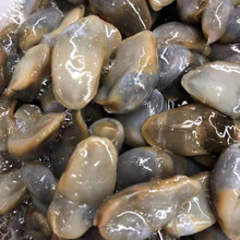 泥螺宁波龙山黄泥醉泥螺醉螺黄泥螺镇店黄泥螺 龙山野生小泥漯240克