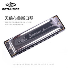 天鹅口琴10孔布鲁斯口琴初学儿童成人入门专业演奏十孔口琴蓝调乐器 银色