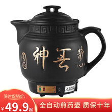 全自动煎药壶养生壶药罐煎中药锅熬药砂锅中药壶炖熬药壶机器富捷 4L白陶晶 带鸣音