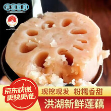 洪湖农家 洪湖莲藕 新鲜脆藕 火锅食材 生鲜 买菜 新鲜蔬菜 洪湖莲藕-脆藕3斤