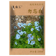 花种子四季播易种易成活格桑花卉种籽阳台盆栽矮杆多年生混色室内花卉种孑重瓣向日葵种子 勿忘我蓝色500粒