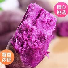 山东沙地小紫薯新鲜代餐番薯地瓜农家蔬菜软糯5/10斤批发 紫薯10斤大果(净重9-9.5斤)