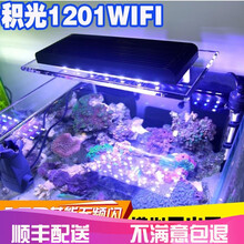 海水珊瑚灯 价格 图片 品牌 怎么样 京东商城 海水珊瑚灯 价格 图片 品牌 怎么样 京东商城