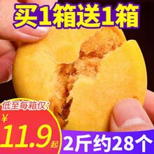 千丝肉松饼整箱早餐面包糕点心休闲零食品小吃的充饥夜宵网红美食 买肉松饼500g送果酱面包500g（发两箱）