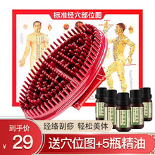 俞兆林 五行经络刷 摩羯刷 魔蝎刷筋络按摩刷 刮痧美体刷 经络刷+5瓶艾草精油 均码