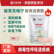 巨龙动保 板清连黄散 肺热咳喘清热解毒宣肺平喘采食下降病毒病病毒性呼吸道病 板青克喘宁1kg 板青克喘宁1kg