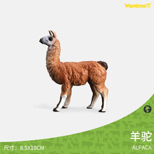 玩模乐仿真山羊模型绵羊藏羚羊羊驼 野生动物模型仿真小羊 儿童认知玩具3-10岁 大羊驼