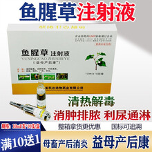 鱼腥草注射液兽药兽用消炎针剂牛羊犬猫药猪用清热解毒利尿益母产后康 10ml/支*10支/盒 10盒价【发11盒】
