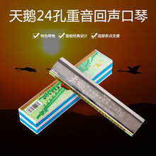 天鹅口琴24孔C调重音口琴初学者成人回声口琴儿童练习演奏口琴 重音回声款