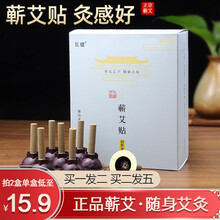瓦健 蕲艾艾灸贴60粒艾灸盒随身灸艾灸条艾灸柱陈年蕲艾条艾柱