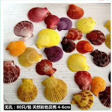 关注已有816人评价天然贝壳海螺海星珊瑚家居摆件鱼缸水族箱地台造景