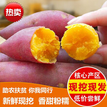 新鲜红薯沙地蜜薯山芋地瓜5斤/10斤带箱净重9斤 10斤大薯【净重9斤左右】