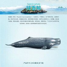 海洋动物仿真虎鲸鲨鱼章鱼海豚海龟螃蟹儿童塑胶模型玩具 抹香鲸