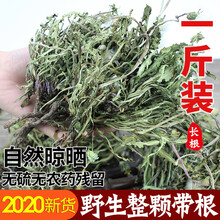 伊梵麦蒲公英野生整根茶决明子菊花茶叶清热婆婆丁整株带老根干草 蒲公英250克