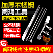 耐尔尼 不锈钢阉鸡工具全套大鸡小鸡阉割刀公鸡阉割神器套装 五件套（建议小鸡用）