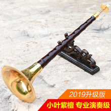 印度小叶紫檀唢呐乐器全套演奏D/降B调民间喇叭 E调