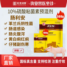 巨龙动保 肠利安 10%硫酸粘菌素预混剂兽用 拉稀肠炎痢病肠道感染兽药猪药鸡药100g/500g/袋 肠利安 500克/袋