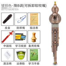 防摔耐用葫芦丝C调 降B调成人小学生演奏型 胡芦丝初学者乐器 可拆嘴镀金色降B调【学习手册+皮盒+中国结+防摔绳