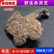 灵芝 深山纯赤芝赤灵芝天然野灵芝 元精芝500克 买3斤发4斤切片