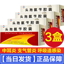 恒健先锋霉素Ⅳ号头孢氨苄胶囊0.125g*50粒男女尿路感染扁桃体发炎消炎药头炮头疱头饱先锋4号胶囊 3盒 1盒装